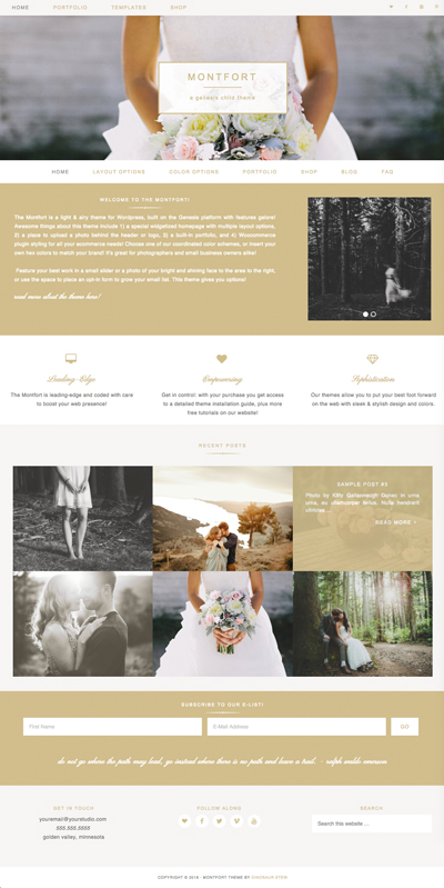 Montfort Theme Screenshot
